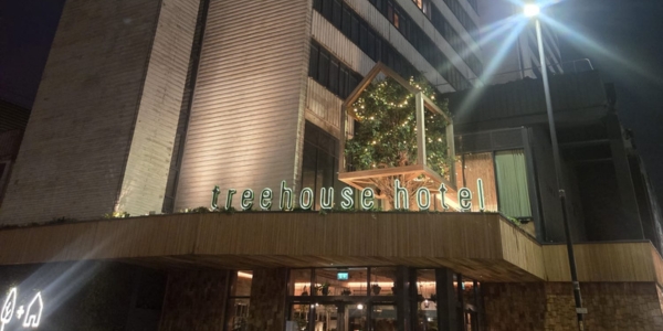the entrance to the treehouse hotel, lit up at night