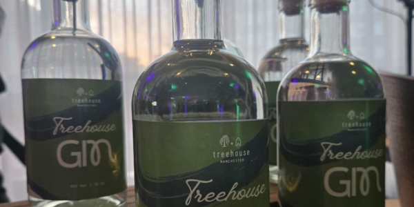 close up image of three glass bottles of Treehouse gin